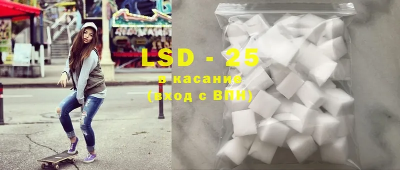 дарнет шоп  Новозыбков  LSD-25 экстази кислота 